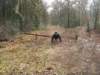 NWK 2012 024_small.jpg